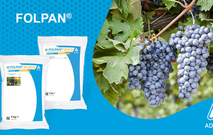 FOLPAN Adama Italia 5 kg uva vite